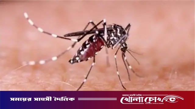 ফরিদপুরে ২৪ ঘণ্টায় ডেঙ্গুতে আক্রান্ত ৩২, এ বছর মোট মৃত্যু ৫