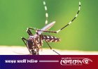 ফরিদপুরে একদিনে আরও ৩৪ জনের ডেঙ্গু শনাক্ত, নেই কোনো মৃত্যু