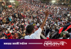 ভারতে এবার ককরোচ পার্টির ‘দিল্লি চলো’কর্মসূচি