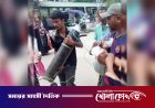 ট্রলি পেতে টাকা দাবির অভিযোগ: ফরিদপুর মেডিকেলে সময়মতো চিকিৎসা না পেয়ে শিশুর মৃত্যু