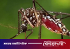 ডেঙ্গুতে এক দিনে ১০ জনের মৃত্যু