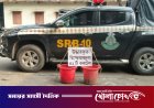 পাংশায় আমবাগান থেকে ৪২টি অবিস্ফোরিত ককটেল উদ্ধার