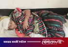 নগরকান্দায় পুত্রবধূকে ফিরিয়ে আনতে গিয়ে মারধরের শিকার শাশুড়ি, মাথা ফাটানোর অভিযোগ