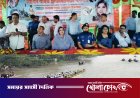 নগরকান্দায় কুমার নদে জমকালো নৌকাবাইচ উদ্বোধন করলেন পররাষ্ট্র প্রতিমন্ত্রী শামা ওবায়েদ