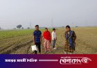 কুষ্টিয়া সীমান্তে বিএসএফের ‘পুশইন’ চেষ্টা রুখে দিল বিজিবি