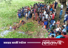 যশোরে চুরির সময় গণপিটুনিতে নিহত ১, নিখোঁজ ১