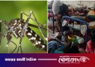 ফরিদপুরে বাড়ছে ডেঙ্গুর প্রকোপ: ২৪ ঘণ্টায় হাসপাতালে ভর্তি ২৪, মোট মৃত্যু ৯