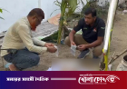 লালন আখড়াবাড়ি থেকে টাইম বোমা উদ্ধার