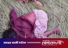 নগরকান্দায় ট্রেনে কাটা পড়ে অজ্ঞাত যুবকের মৃত্যু
