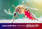 ডেঙ্গুতে আরও ৭ জনের মৃত্যু