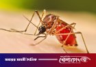 ফরিদপুরে ২৪ ঘণ্টায় নতুন ৫৮ ডেঙ্গু রোগী হাসপাতালে, মৃত্যু নেই