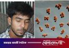 নগরকান্দায় ১৫০ পিস ইয়াবাসহ যুবক আটক