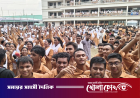 একজনের জন্য হলো না শতভাগ পাস, তবুও শীর্ষে কাদির মোল্লা কলেজ