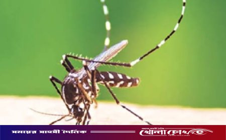 ফরিদপুরে একদিনে আরও ৩৪ জনের ডেঙ্গু শনাক্ত, নেই কোনো মৃত্যু