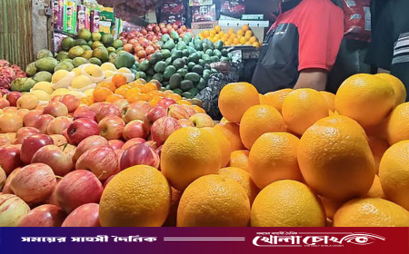 ৮৭ টাকার মাল্টা কেন বাজারে এসে ৫২০ টাকা হয়ে যায়?