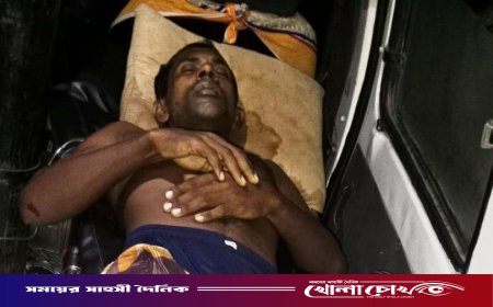 দৌলতপুরে মাদক সেবনের টাকা চাওয়াকে কেন্দ্র করে ভাইয়ের দা-এর কোপে ভাই নিহত