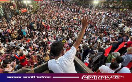 ভারতে এবার ককরোচ পার্টির ‘দিল্লি চলো’কর্মসূচি