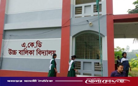 ডাসারে দর্শনা এ.কে.ডি উচ্চ বালিকা বিদ্যালয়ে দ্রুত সীমানা প্রাচীর নির্মাণের দাবি