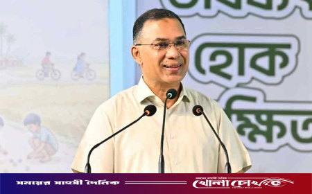 শিশুরা ঠিকমত বিকশিত হলে দেশের ভিত মজবুত হবে: প্রধানমন্ত্রী