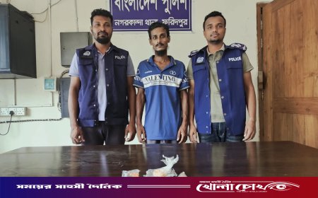 নগরকান্দায় ১৫০ পিস ইয়াবাসহ মাদক কারবারি গ্রেফতার