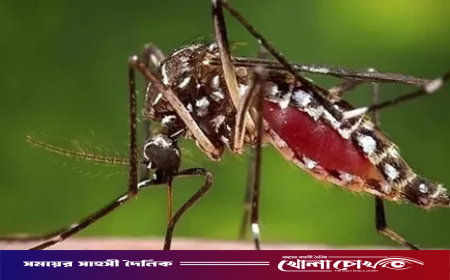 ডেঙ্গুতে এক দিনে ১০ জনের মৃত্যু