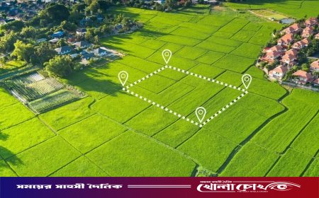 এক শমসেরই হাতিয়েছেন সরকারের ১৯৪টি প্লট
