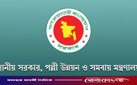 সব উপজেলায় সরকারের জরুরি নির্দেশনা