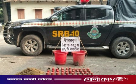 পাংশায় আমবাগান থেকে ৪২টি অবিস্ফোরিত ককটেল উদ্ধার