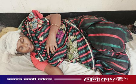 নগরকান্দায় পুত্রবধূকে ফিরিয়ে আনতে গিয়ে মারধরের শিকার শাশুড়ি, মাথা ফাটানোর অভিযোগ