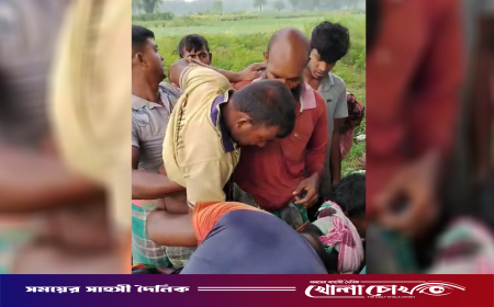 কুষ্টিয়া সীমান্তে বিএসএফের গুলিতে বাংলাদেশি আহত, পাল্টা ফায়ার বিজিবির