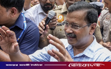এবার ককরোচদের বিক্ষোভে যোগ দিতে গিয়ে আটক কেজরিওয়াল