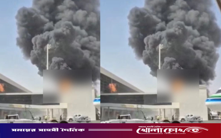 রিয়াদ বিমানবন্দরে হামলায় বাংলাদেশিসহ নিহত ১২
