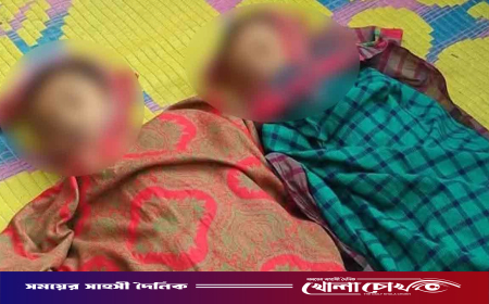 বিদ্যুৎস্পৃষ্ট ভাইকে বাঁচাতে গিয়ে দুই ভাইয়ের মৃত্যু