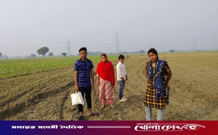 কুষ্টিয়া সীমান্তে বিএসএফের ‘পুশইন’ চেষ্টা রুখে দিল বিজিবি