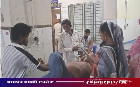 নগরকান্দায় সারের ডিলারশিপ নিয়ে বিরোধের জেরে হামলা, আহত ৪