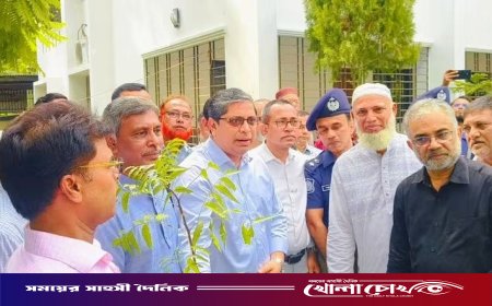 ফরিদপুরে প্রতিমন্ত্রী মীর শাহ আলমের মতবিনিময় সভা ও বৃক্ষরোপণ কর্মসূচি