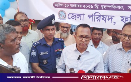 ফরিদপুর জেলা পরিষদে ৬০ কিলোওয়াটের সৌরবিদ্যুৎ প্রকল্প, যুক্ত হলো জাতীয় গ্রিডে