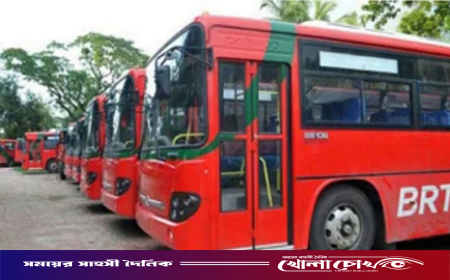দুর্গাপূজায় প্রথমবারের মতো সারা দেশে থাকছে বিশেষ বাস সার্ভিস