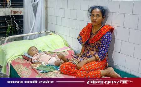ফরিদপুরে ২৪ ঘণ্টায় হাম সন্দেহে হাসপাতালে ভর্তি ৩৭, মোট রোগী ৬৮০২