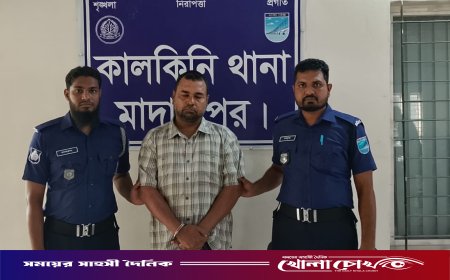 কালকিনিতে সৌদিফেরত কৃষকের বসতঘরে অগ্নিসংযোগ ও লুটপাট: প্রধান আসামি গ্রেফতার