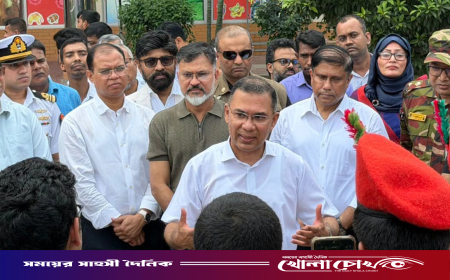 ডেঙ্গু প্রতিরোধে সরকারের পাশাপাশি নাগরিকদেরও দায়িত্ব নিতে হবে: প্রধানমন্ত্রী
