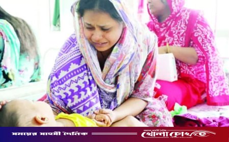 ফরিদপুরে ২৪ ঘণ্টায় হাম সন্দেহে হাসপাতালে ভর্তি আরও ২৭, চিকিৎসাধীন ৮২
