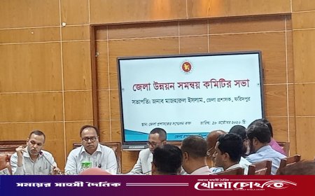 ফরিদপুরে জেলা উন্নয়ন সমন্বয় কমিটির সভা অনুষ্ঠিত