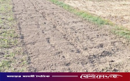 নগরকান্দায় ১৪৪ ধারা উপেক্ষা করে জমি দখলের চেষ্টার অভিযোগ