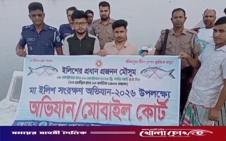 সদরপুরে মা ইলিশ রক্ষা অভিযানে ৮০ হাজার মিটার জাল জব্দ, ৩ জেলের কারাদণ্ড