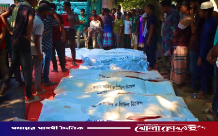 নাটোরে সড়ক দুর্ঘটনায় নিহত ১৪: পরিচয় মিলল ১০ জনের, তদন্ত কমিটি গঠন