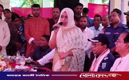 দেড় মিনিটের বক্তব্যে মন্ত্রীকে ২৫ বার ‘স্যার’ বললেন ইউএনও