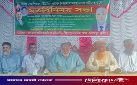 দৌলতপুরে ইউপি নির্বাচন সামনে রেখে বিএনপির মতবিনিময় সভা অনুষ্ঠিত