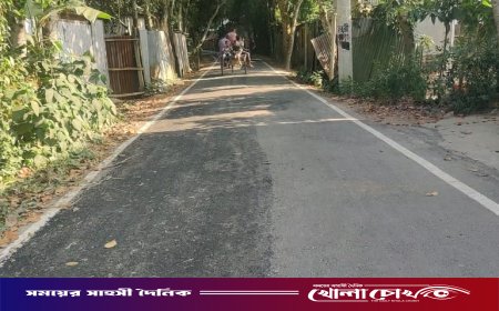 নগরকান্দায় আড়াই কোটি টাকার সড়ক কার্পেটিংয়ে অনিয়ম: মাস না পেরোতেই জোড়াতালি