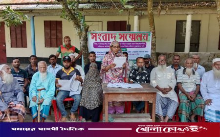 ৮৪ শতাংশ জমি দান করেও মেলেনি স্বীকৃতি, আলফাডাঙ্গায় নওয়াপাড়া উচ্চ বিদ্যালয়ের অনিয়মের তদন্ত দাবি